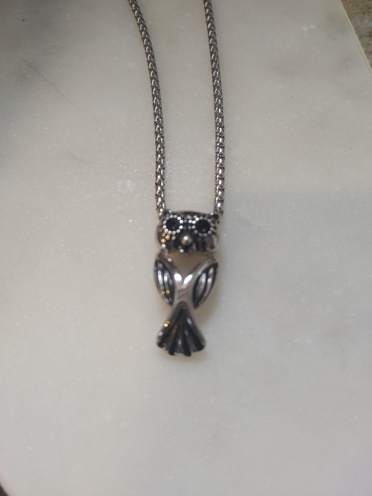 Silver tone Owl Pendant Necklace