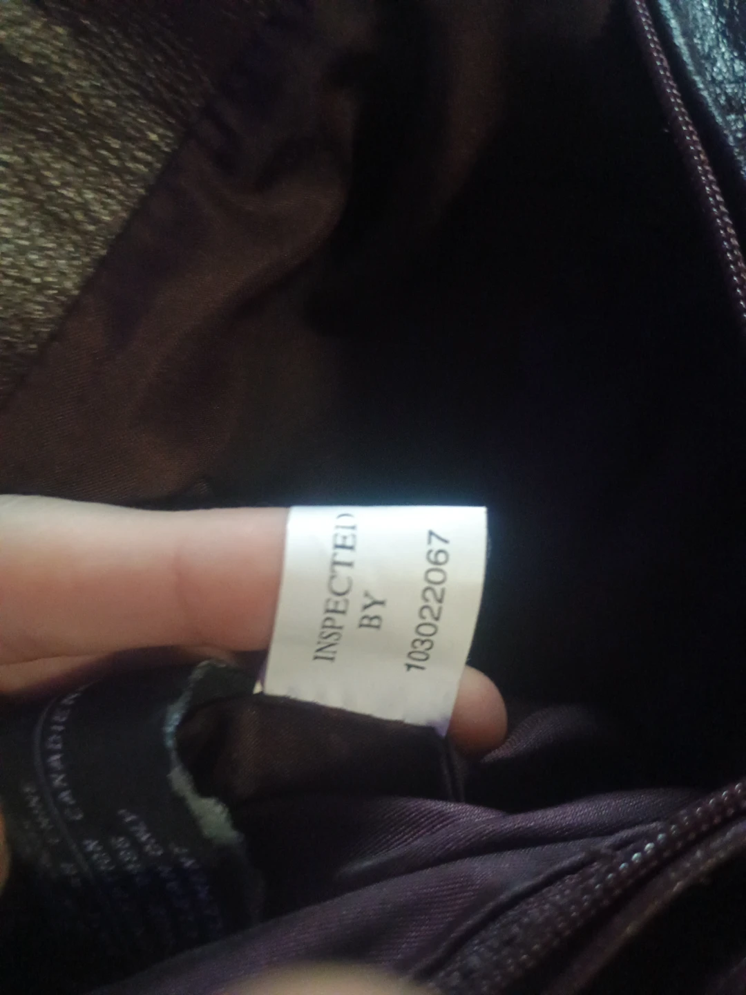 (Worth $350) Danier Burgundy Genuine Leather Pants - photo 5