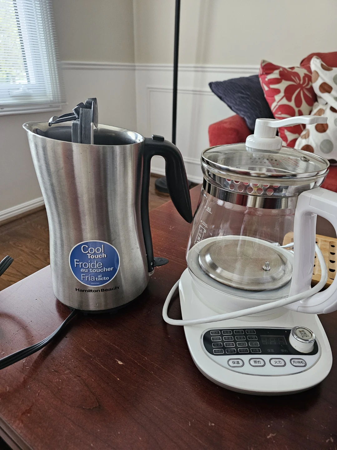 Electric Kettle and Soup/tea maker