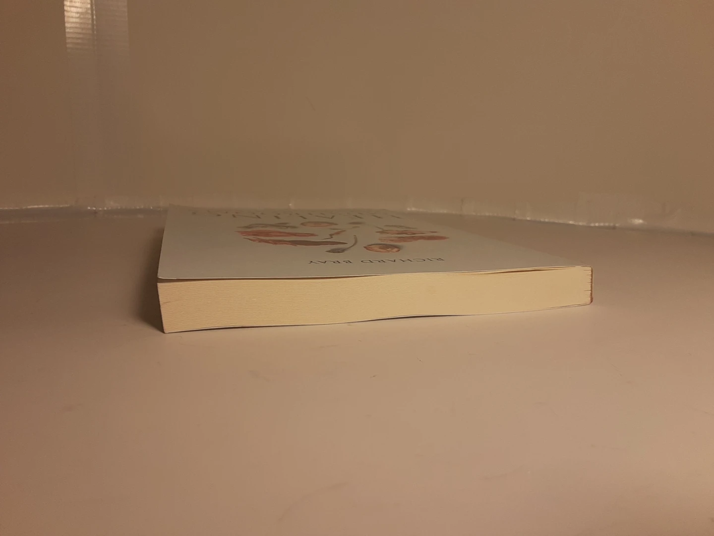Healing Mushrooms: A Practical Guide - photo 5