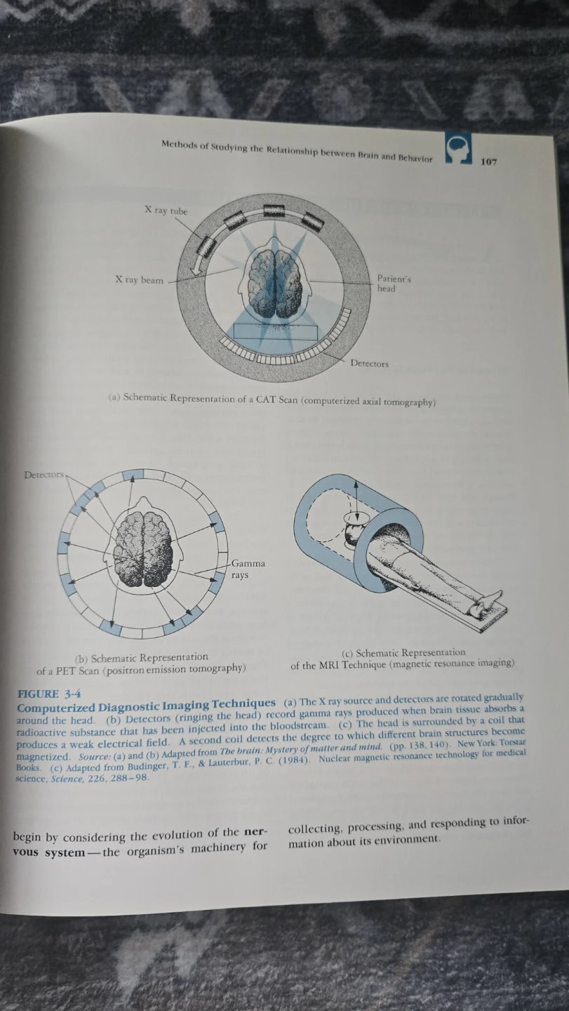 Psychology Textbook - photo 3