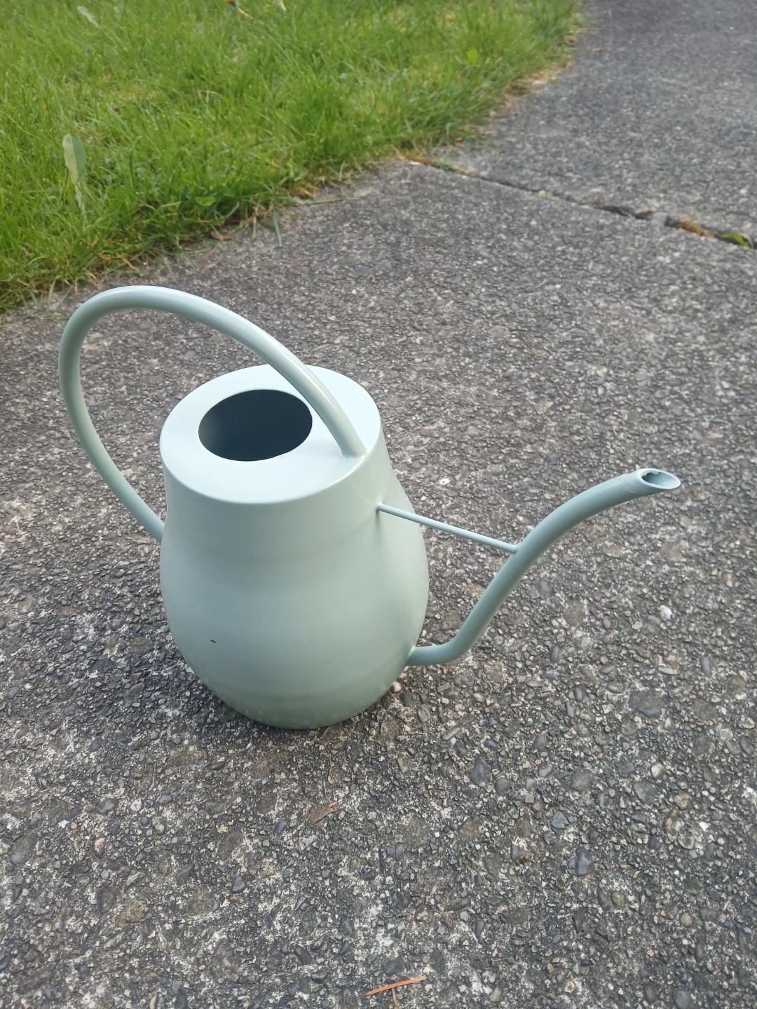 Sage Green Watering Can
