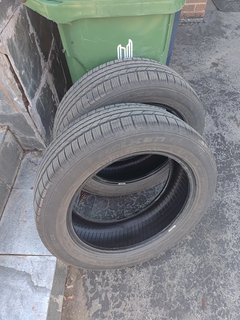 Falken Winter Tires
