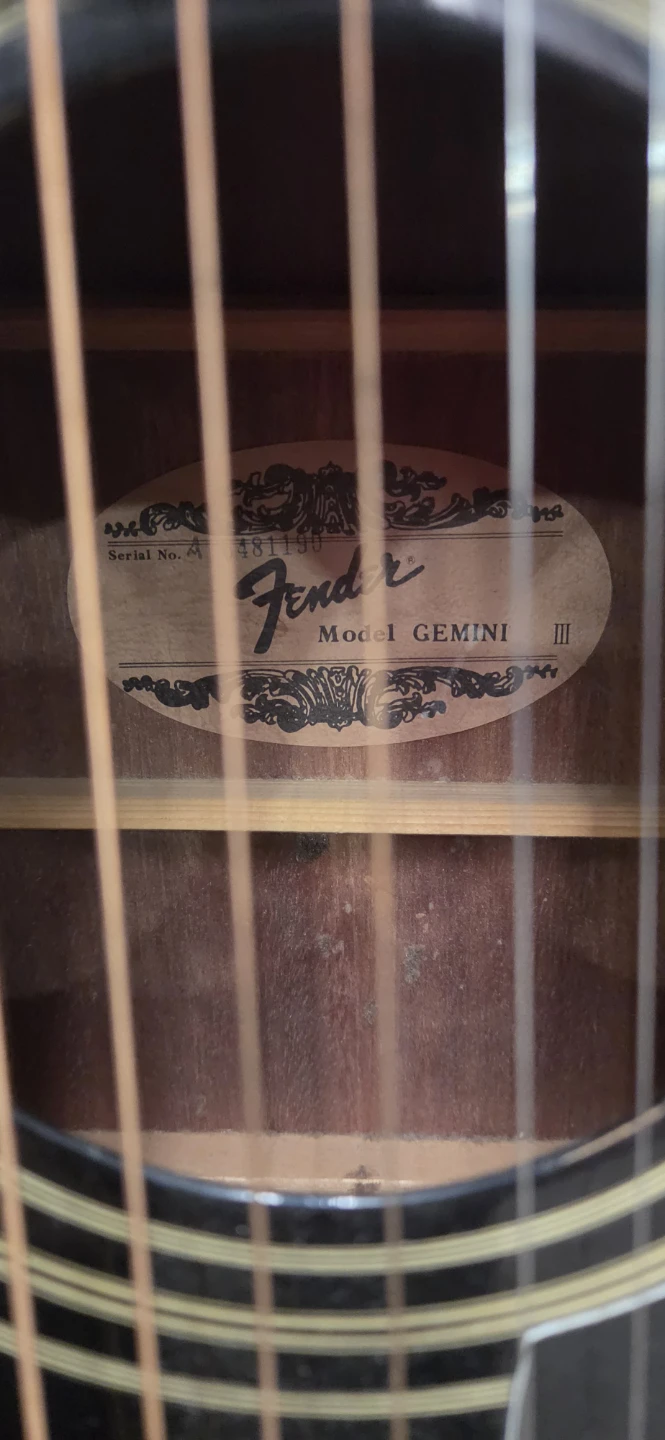 Fender Gemini III Acoustic Guitar with Hard Case - photo 2