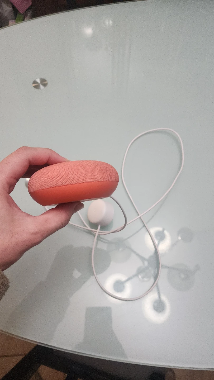 Google Nest Mini - Coral - photo 2