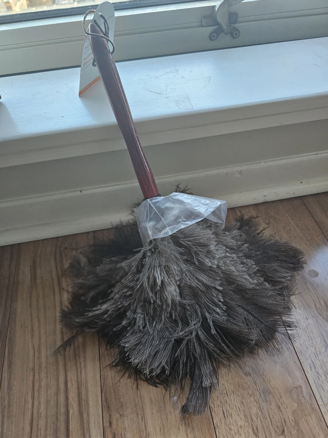 Ostrich Feather Duster