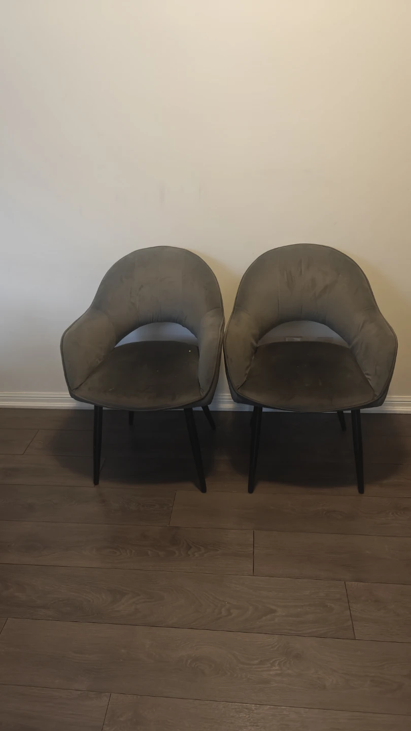 Structube Bailey Contemporary Velvet Dining Armchair - Set of 2