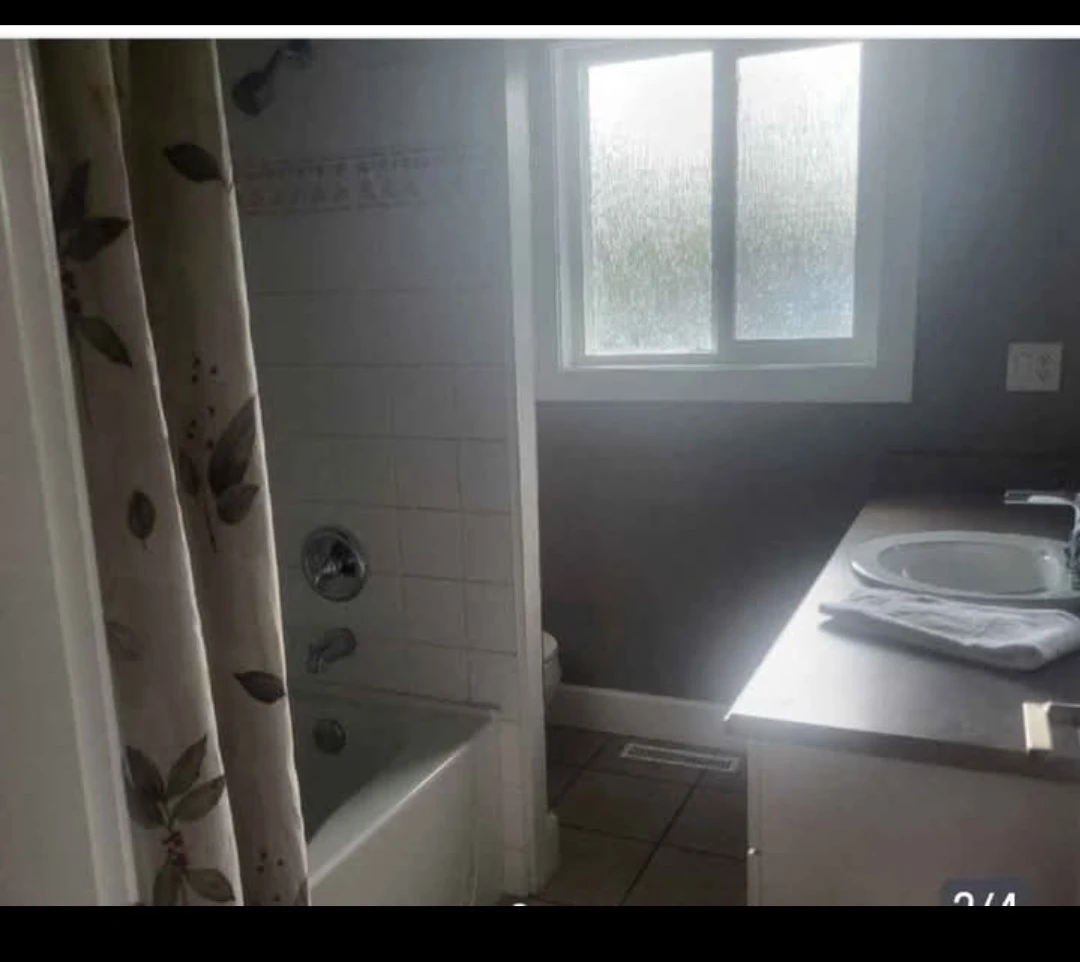 Rentals - photo 2