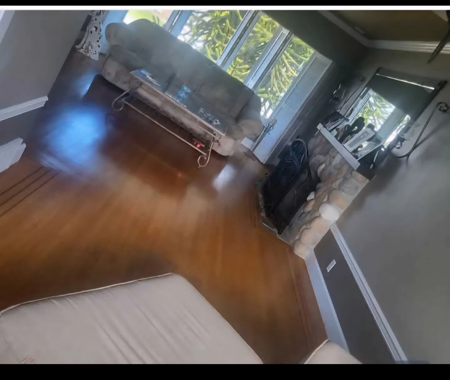 Rentals - photo 4