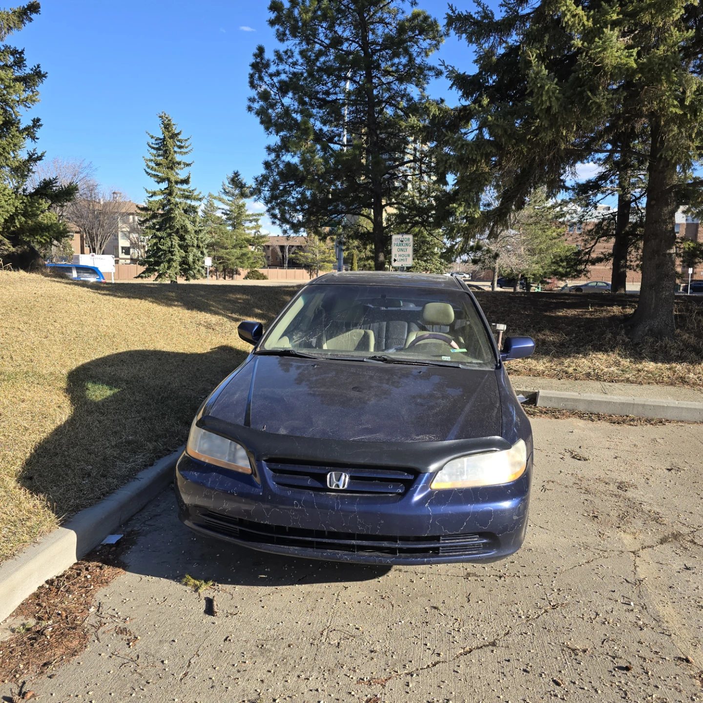 Blue Honda Accord Sedan 2002