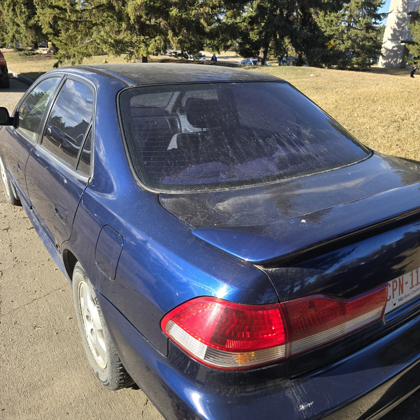 Blue Honda Accord Sedan 2002 - photo 3