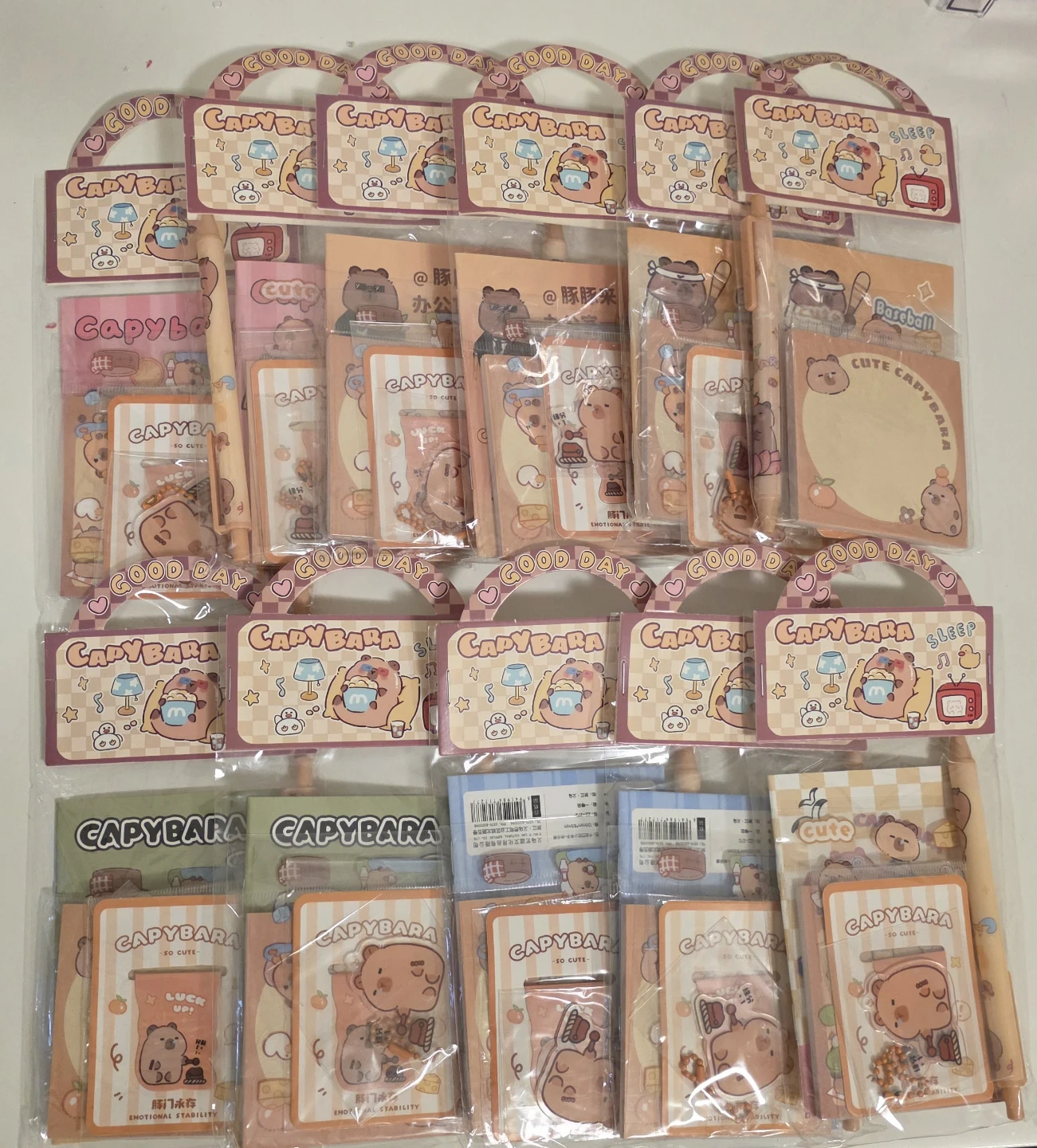 Goodie bag Party favors Capybara Stationery Set