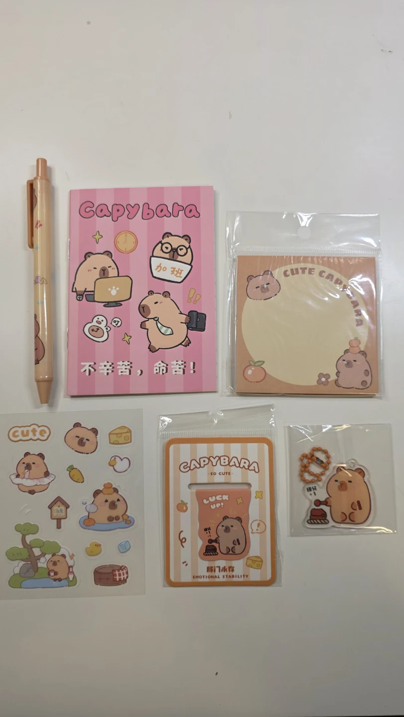 Goodie bag Party favors Capybara Stationery Set - photo 2