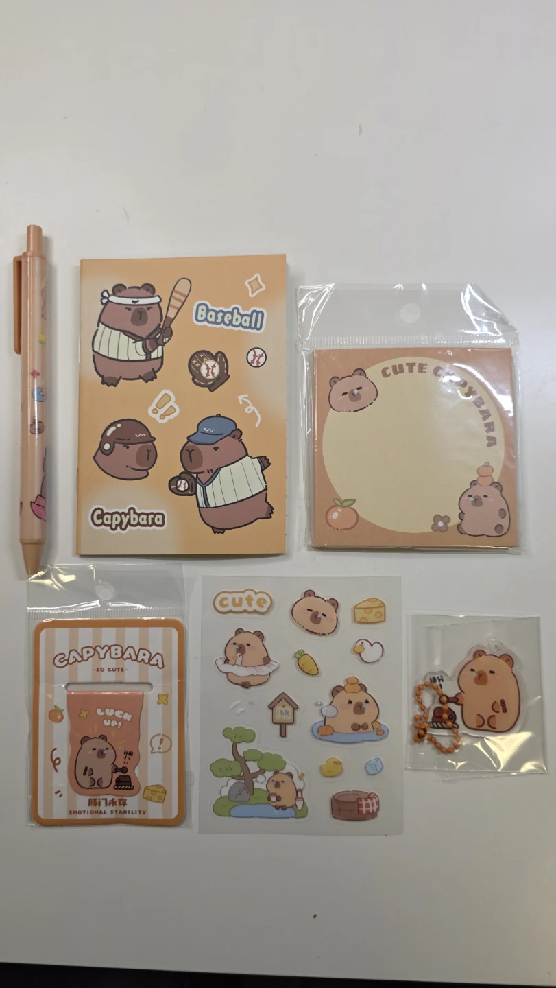 Goodie bag Party favors Capybara Stationery Set - photo 3