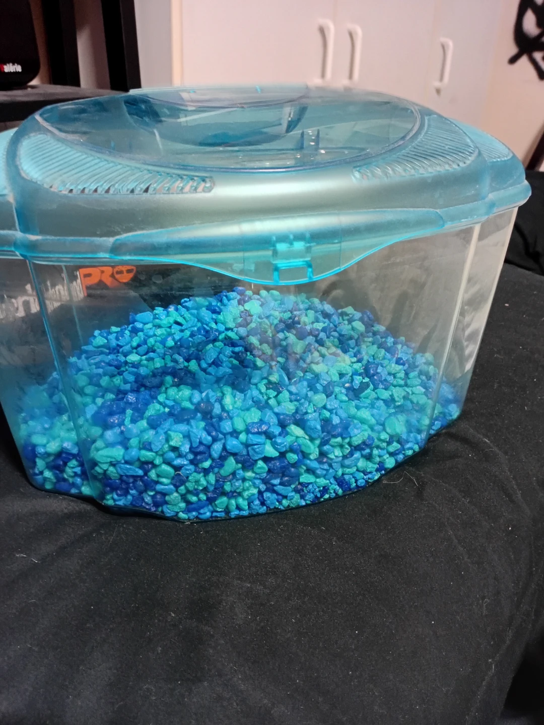 Blue Plastic Travel Fish Tank