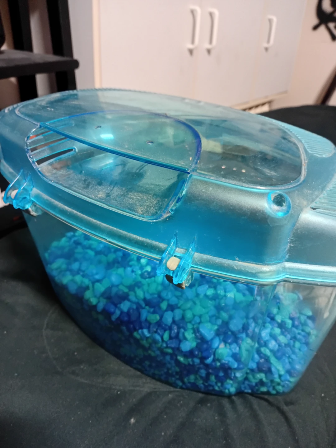 Blue Plastic Travel Fish Tank - photo 3