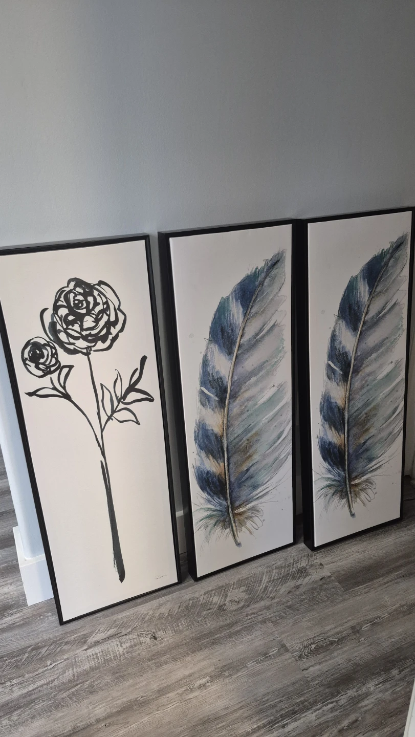 Set of 3 Framed Wall Art Prints +1