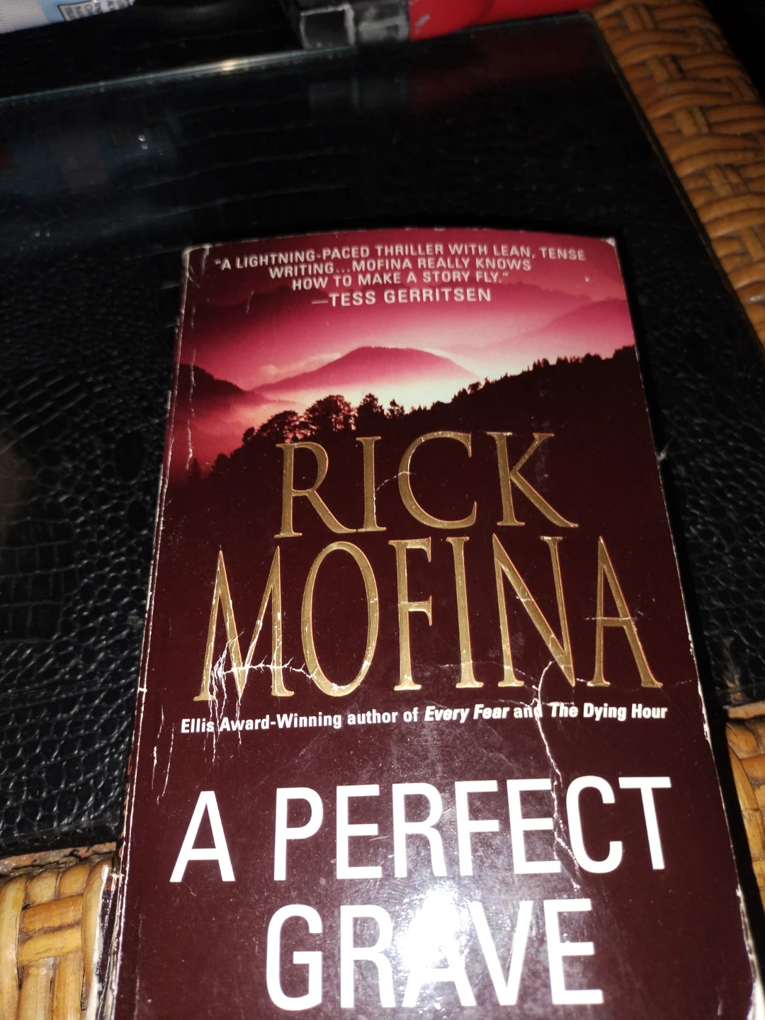 A Perfect Grave by Rick Mofina - Thriller Novel