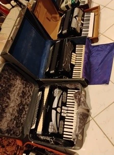 Accordions - photo 3