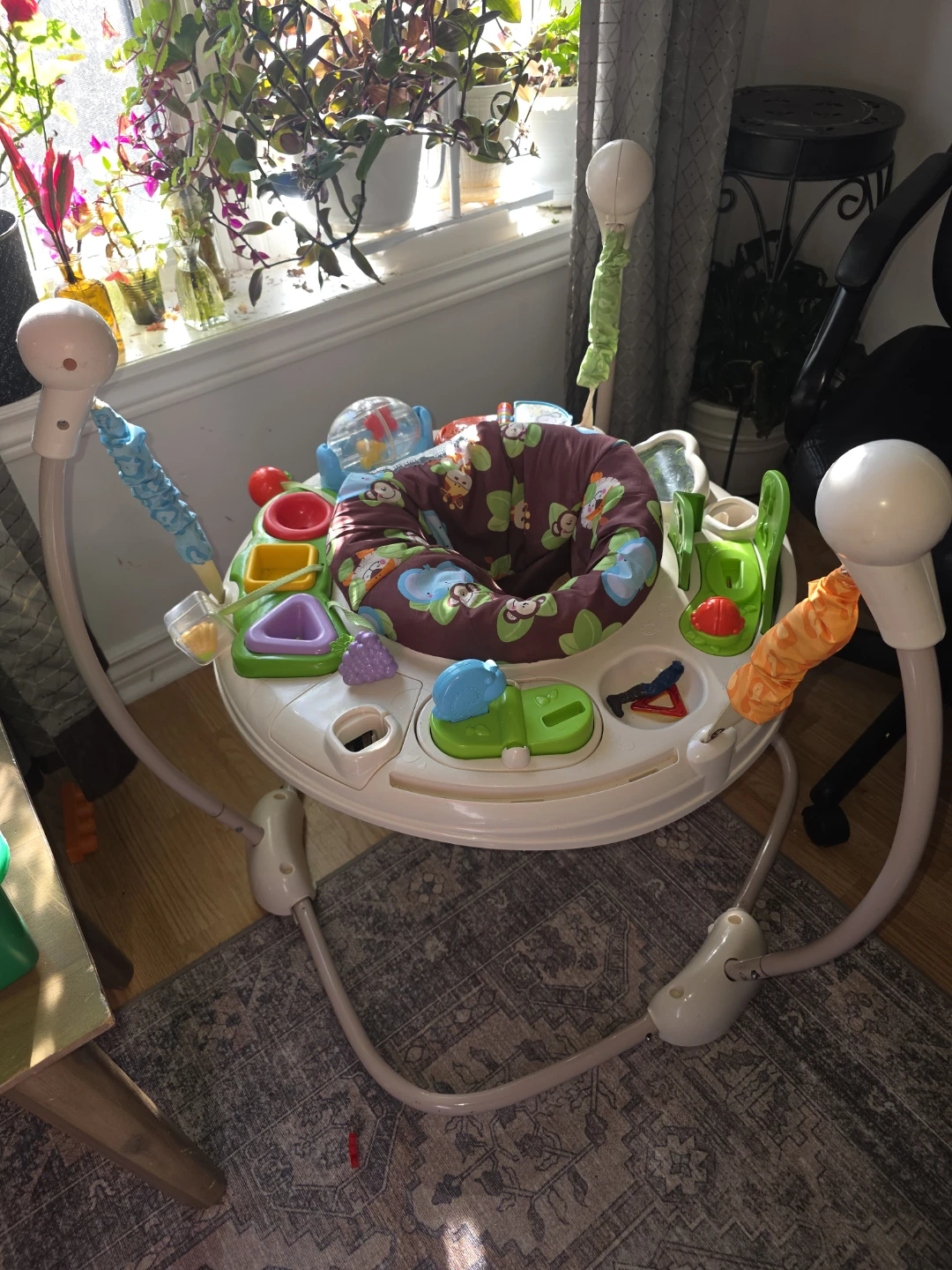 Fisher-Price Jumperoo - photo 4