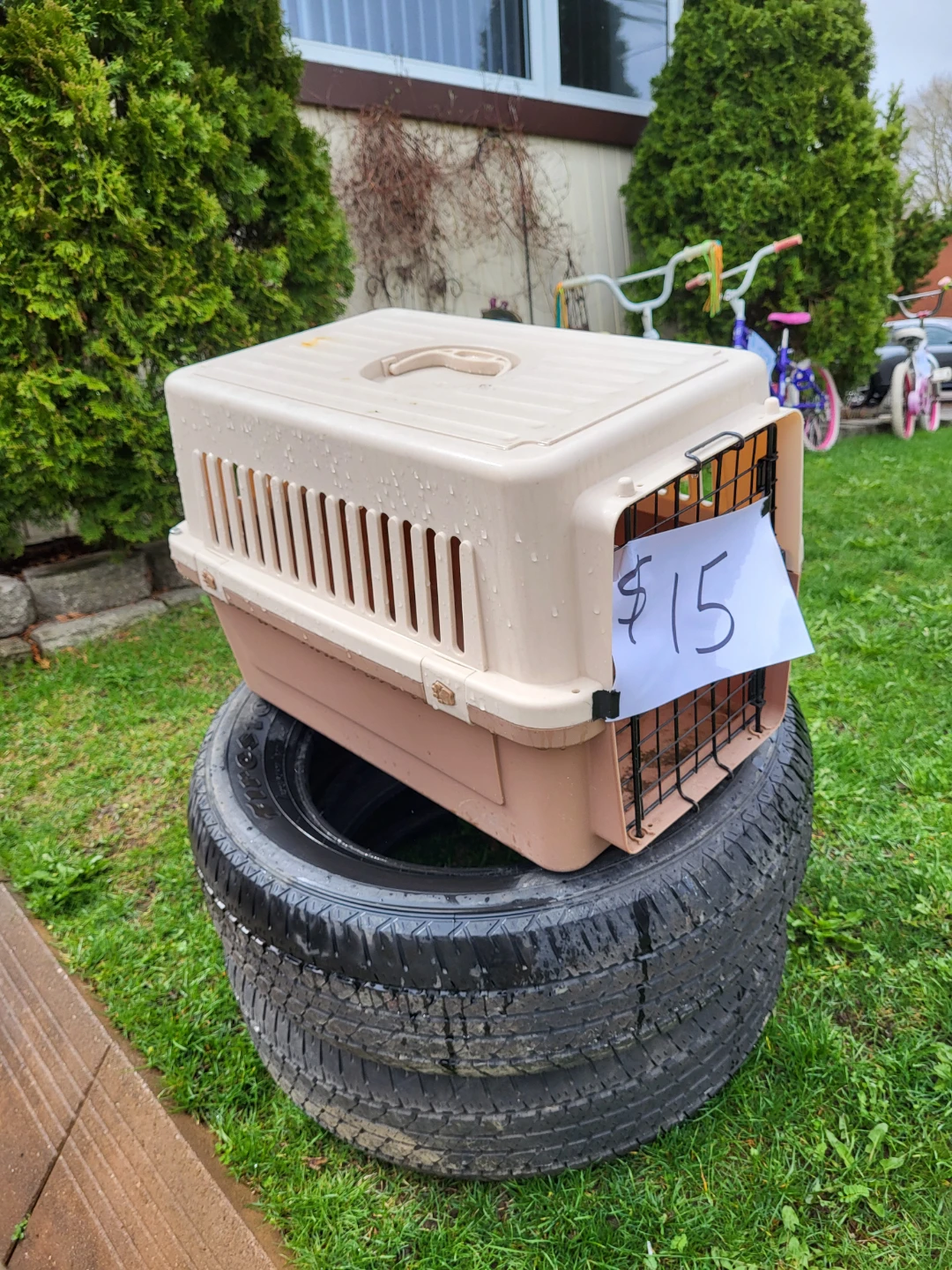 Plastic Pet Carrier