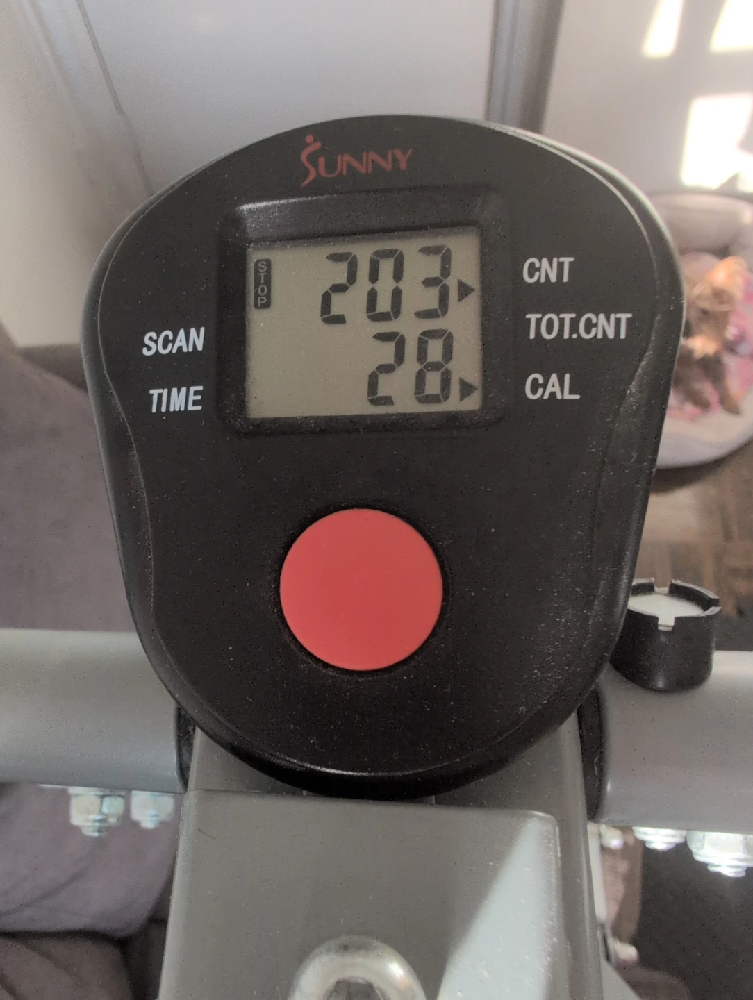 Sunny Health & Fitness Elliptical - photo 3