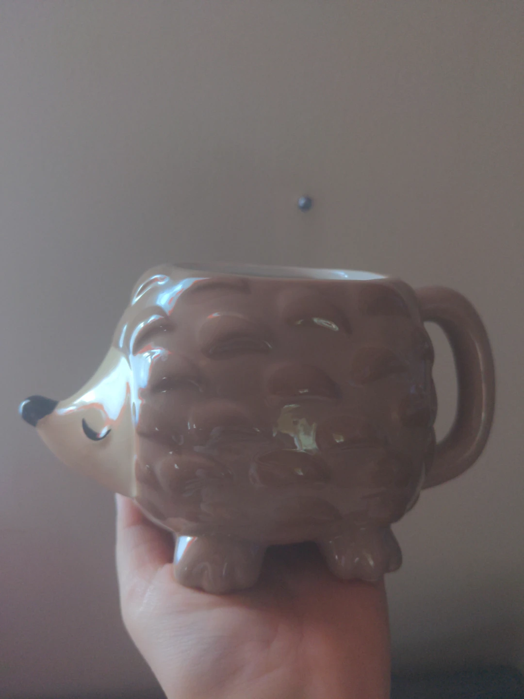 Cute Hedgehog Mug