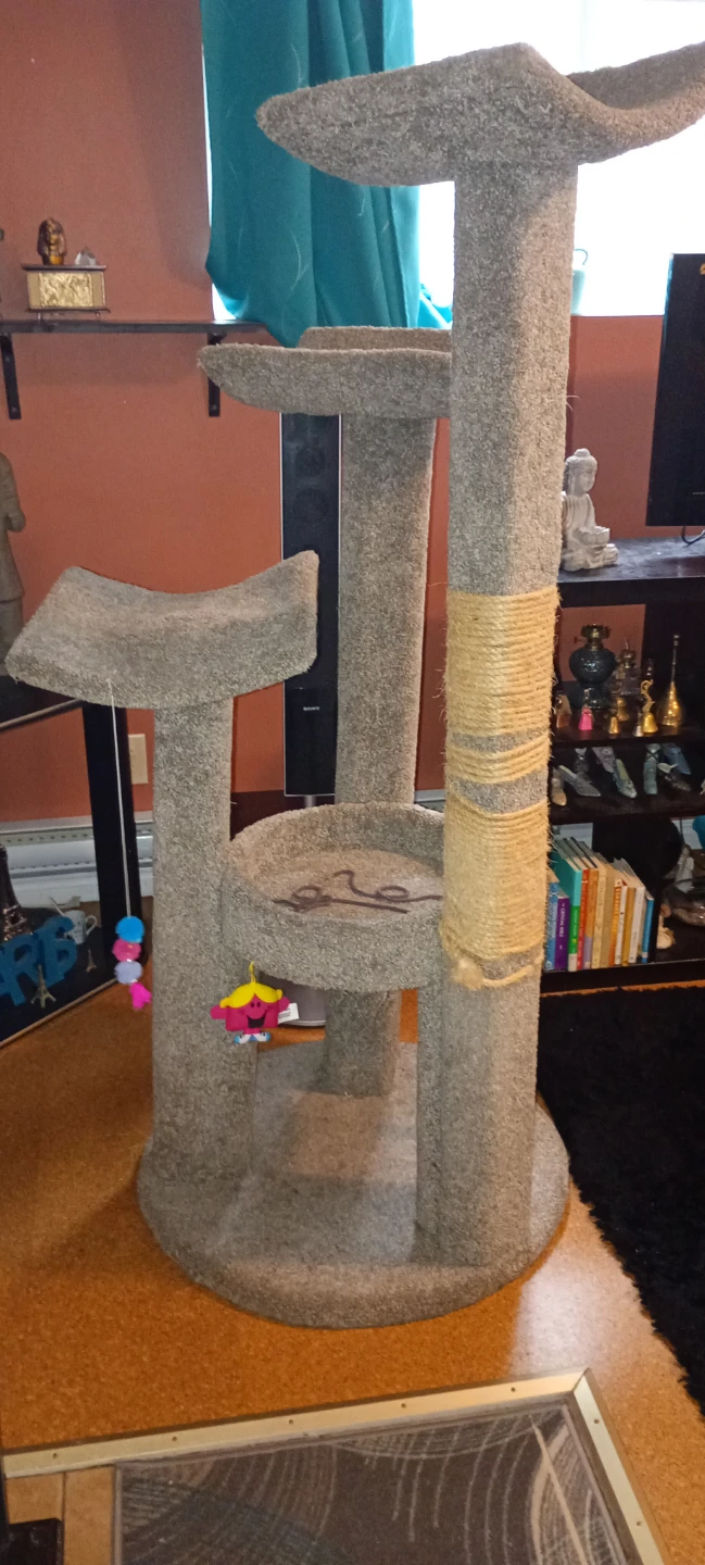 Cat Tree Condo - photo 2