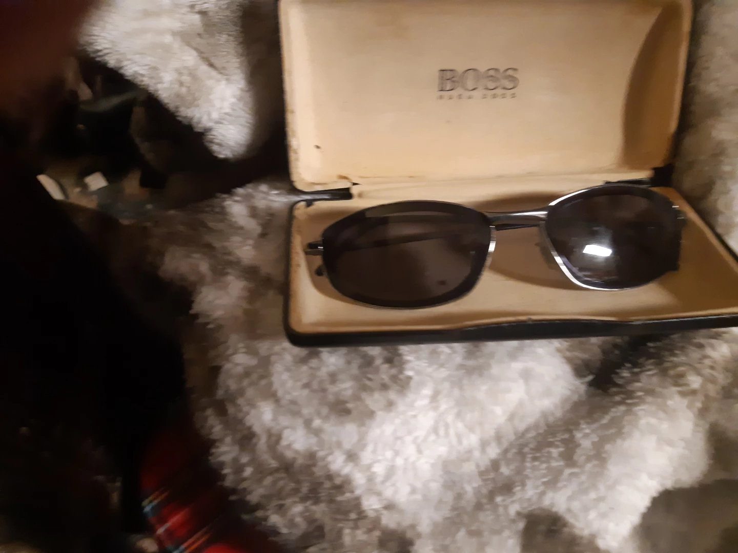 BOSS Hugo Boss Sunglasses with Case