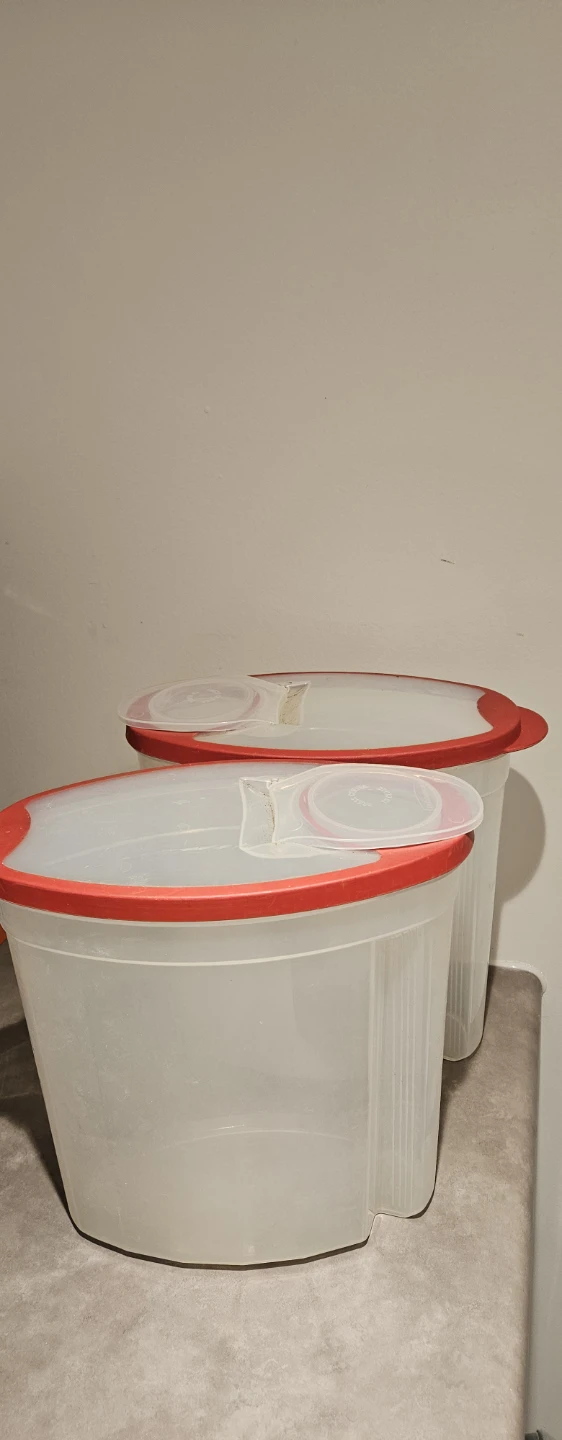 Set of 2 large plastic food storage containers