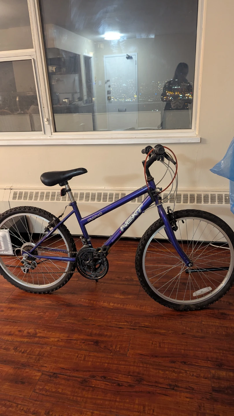 NEXT Purple Mountain Bike - photo 4