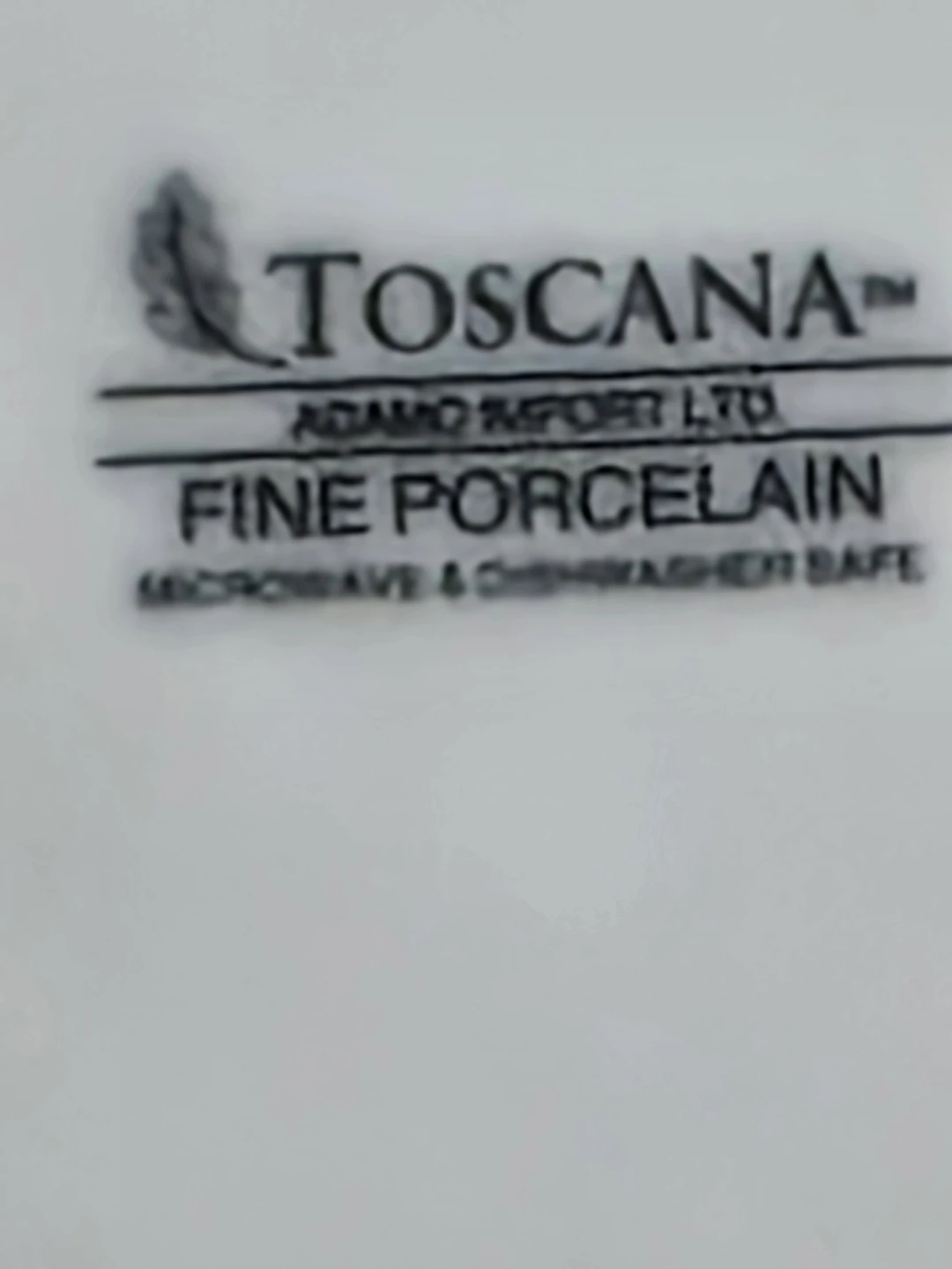 Toscana Fine Porcelain Serving Bowl with Stainless Steel Base - photo 2