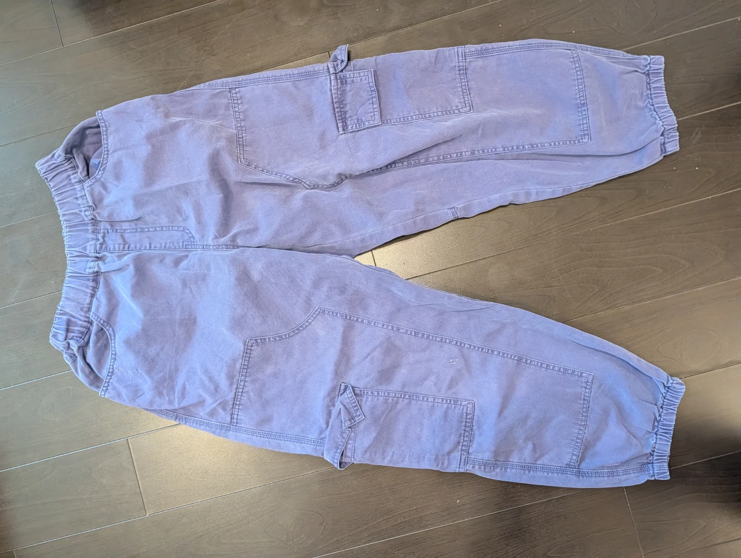 Forever 21 Purple Cargo Pants Size XL