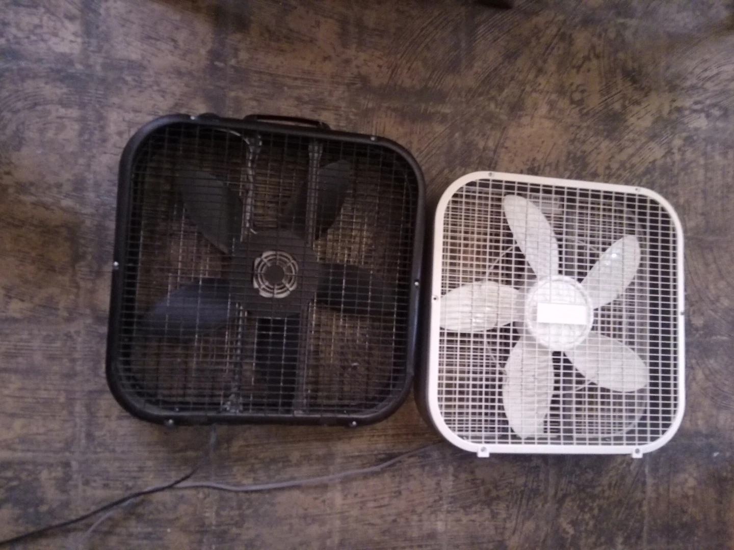 Two Square Box Fans - Black and White