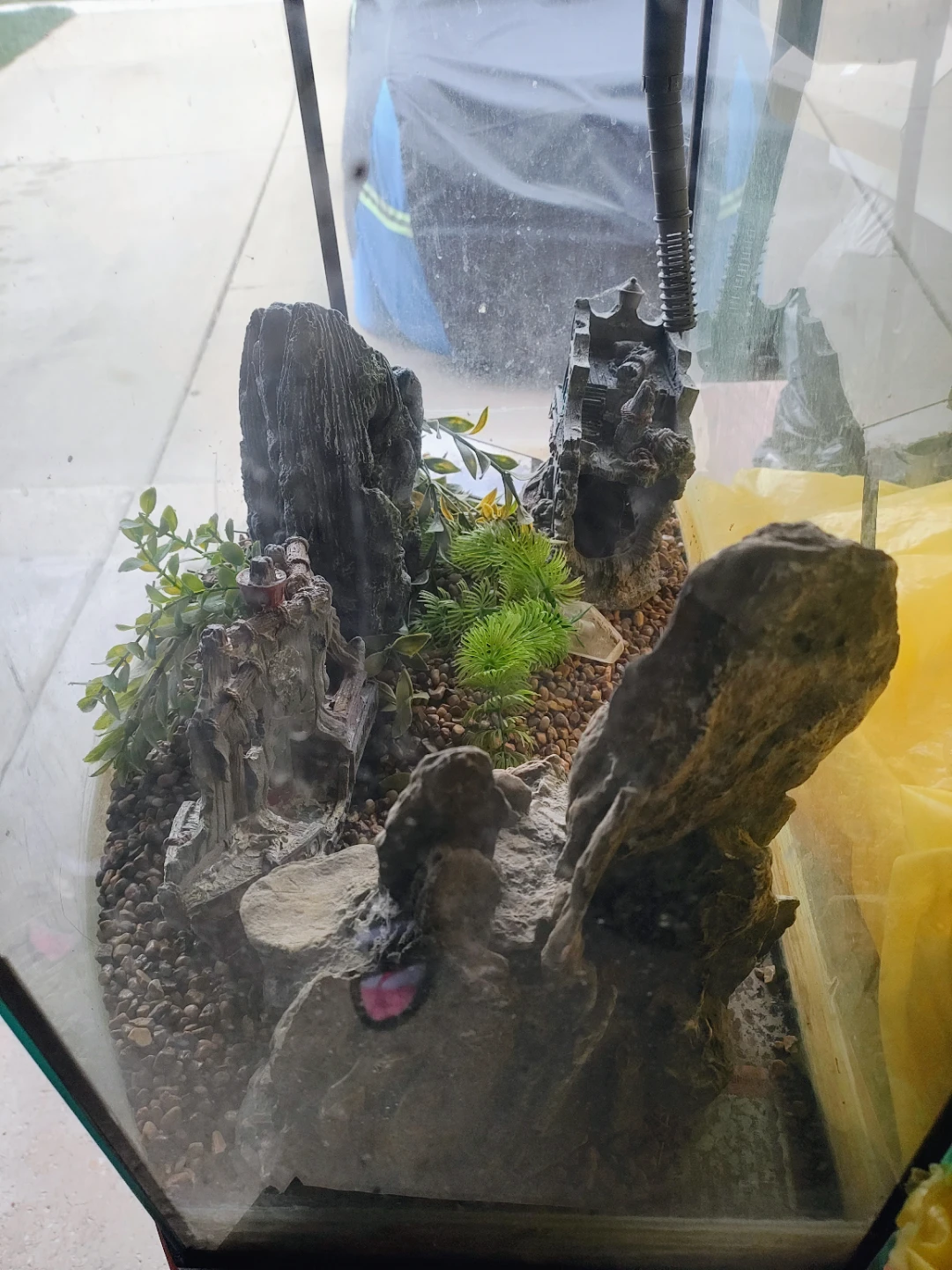 Curved Front Aquarium with Stand and Decor - photo 4