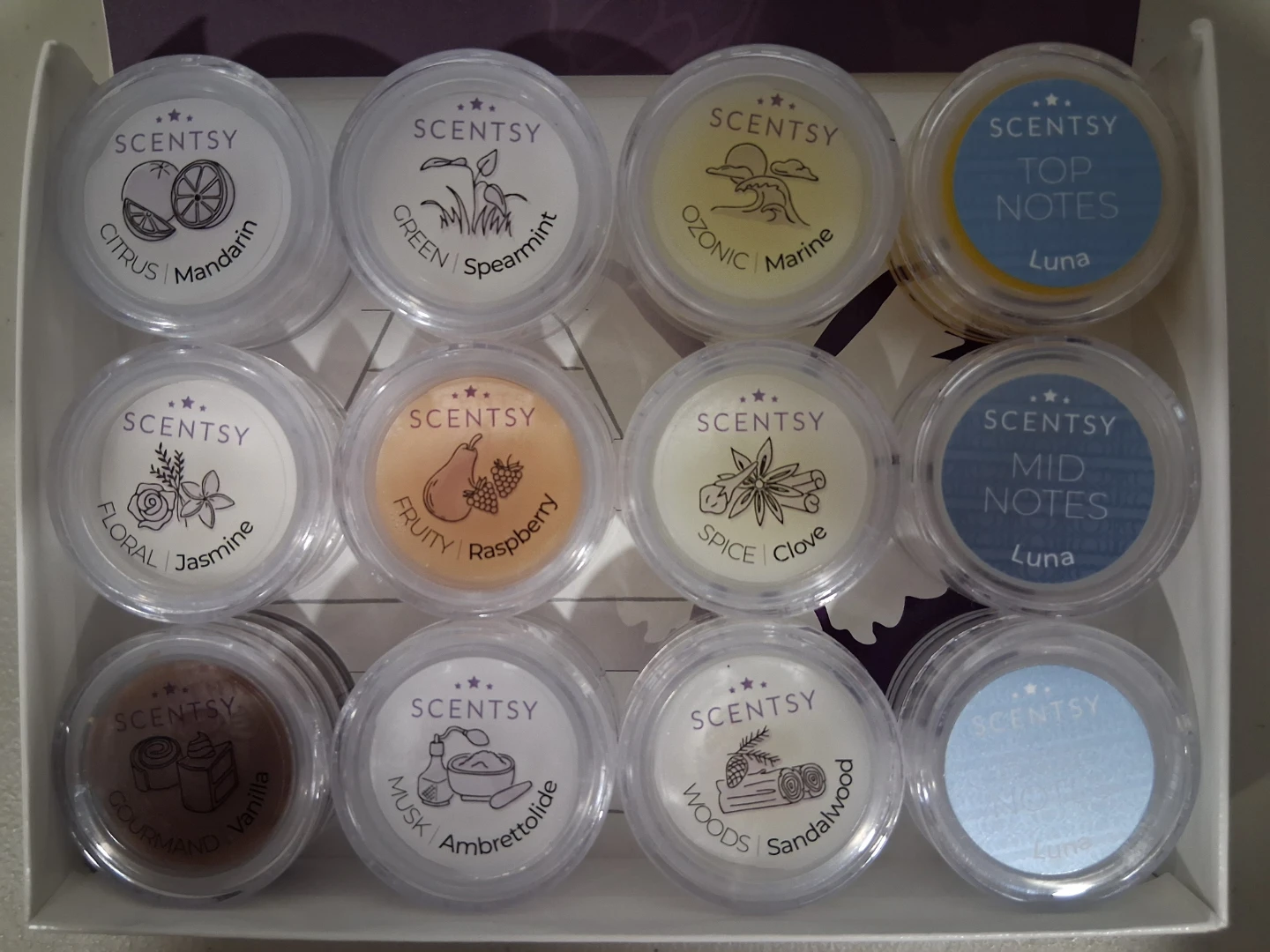 Scentsy The Art of Fragrance 12 Fragrance Note Testers - photo 3