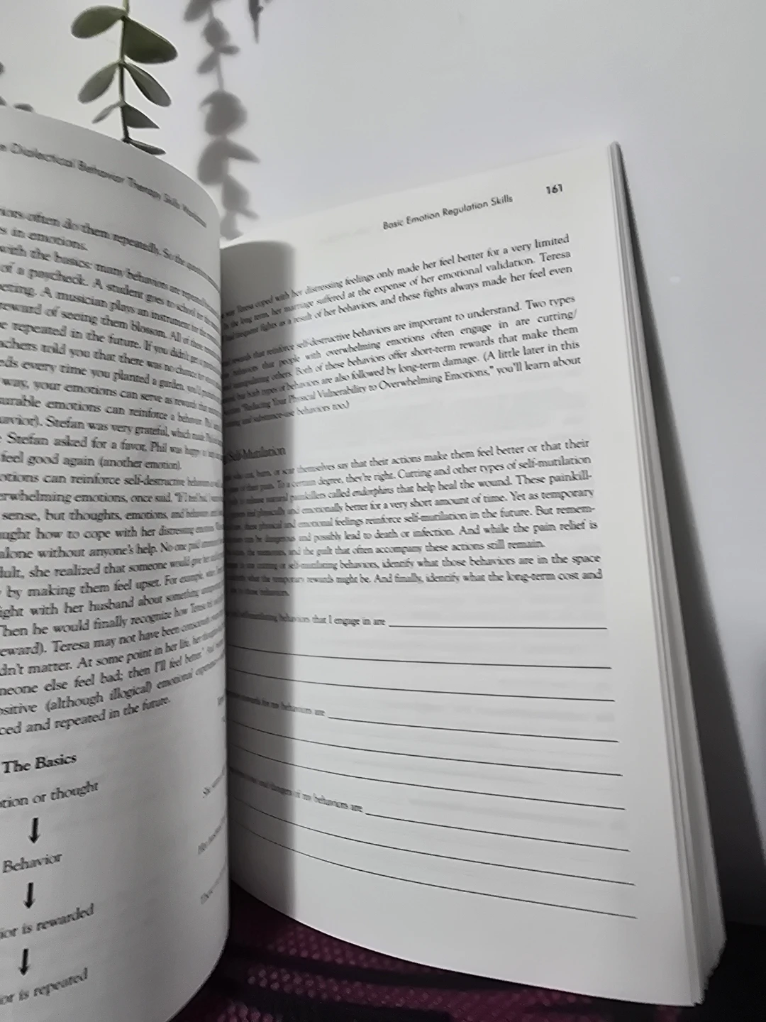 The Dialectical Behavior Therapy Skills Workbook Second Edition - photo 2