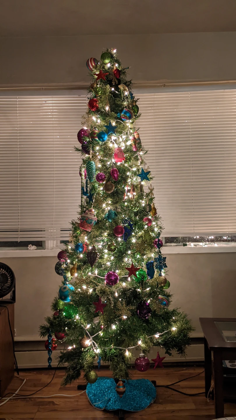Christmas tree in box #freecycle