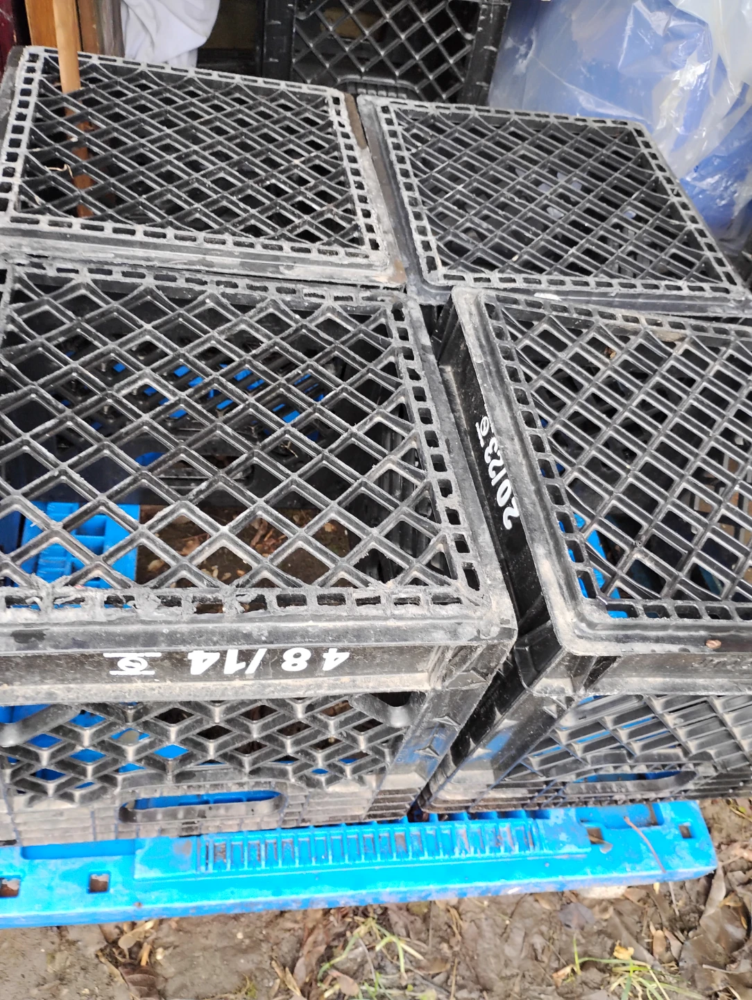 Milk Crates - Black & Green (6-12)