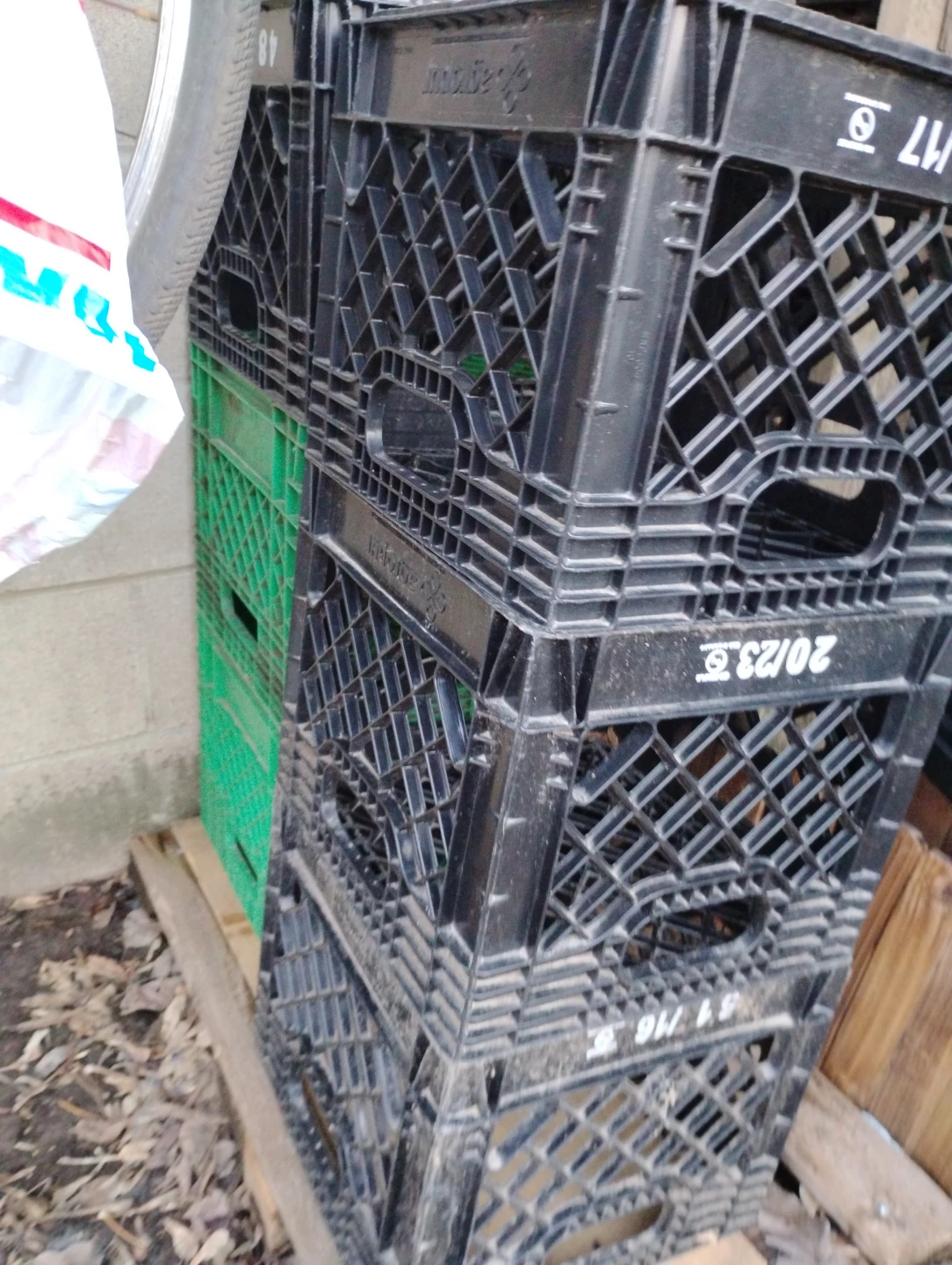 Milk Crates - Black & Green (6-12) - photo 4