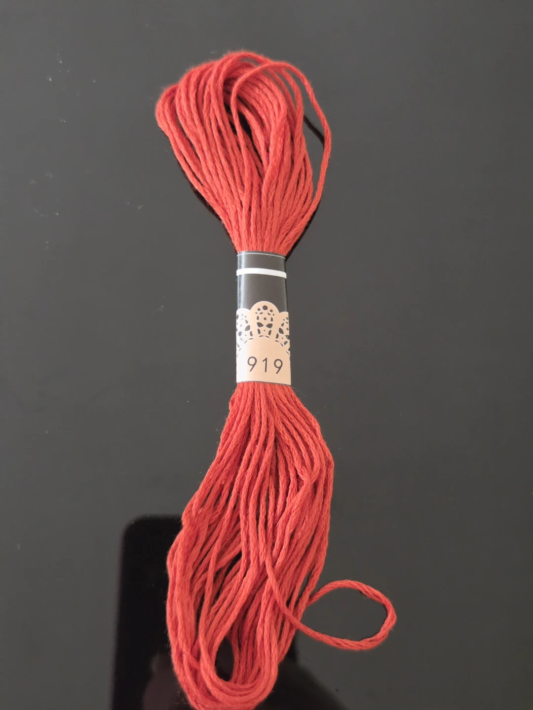 DMC Embroidery Floss 919