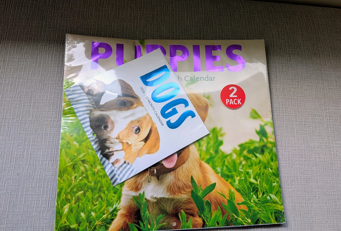 Brand New 2024 Puppies and Dogs 2 Pack Wall Calendar