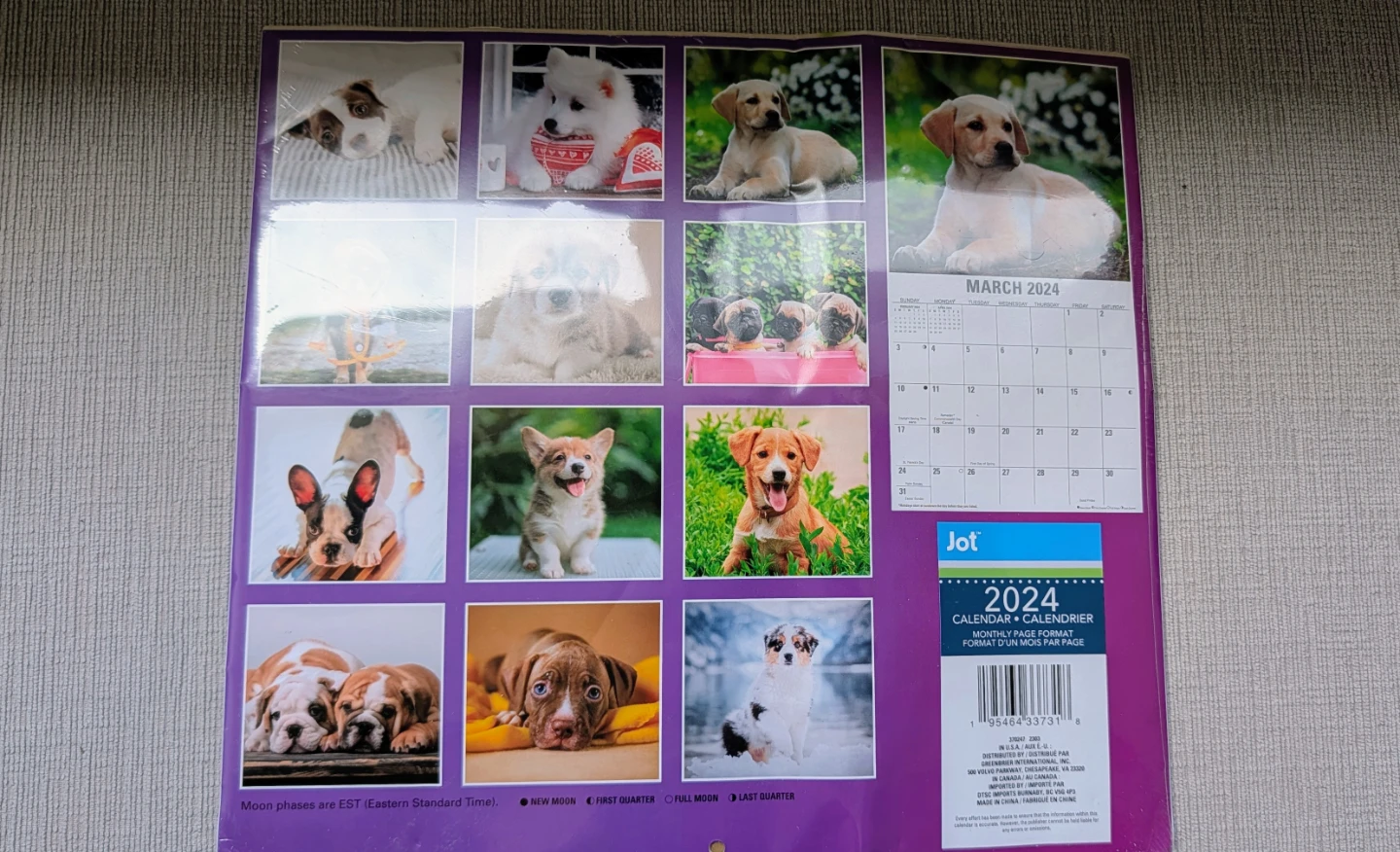 Brand New 2024 Puppies and Dogs 2 Pack Wall Calendar - photo 2