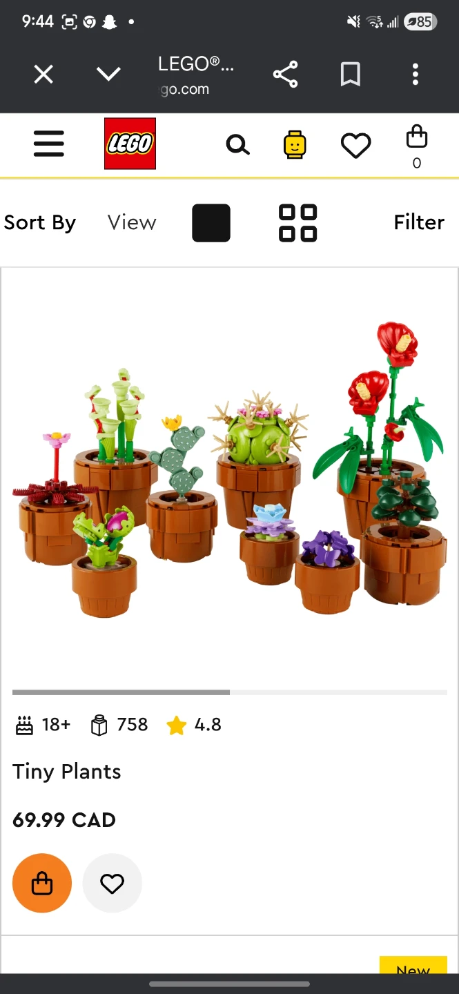 LEGO Botanicals sets - photo 4