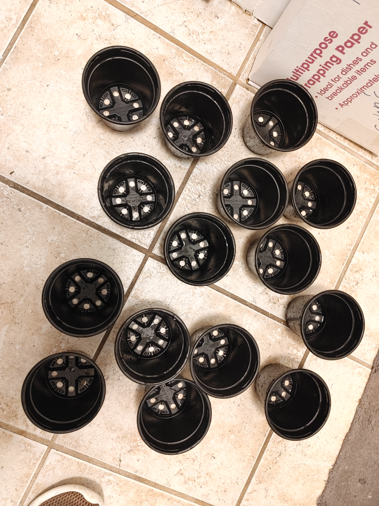 Set of 15 Black Small Plastic Plant Pots all for $5