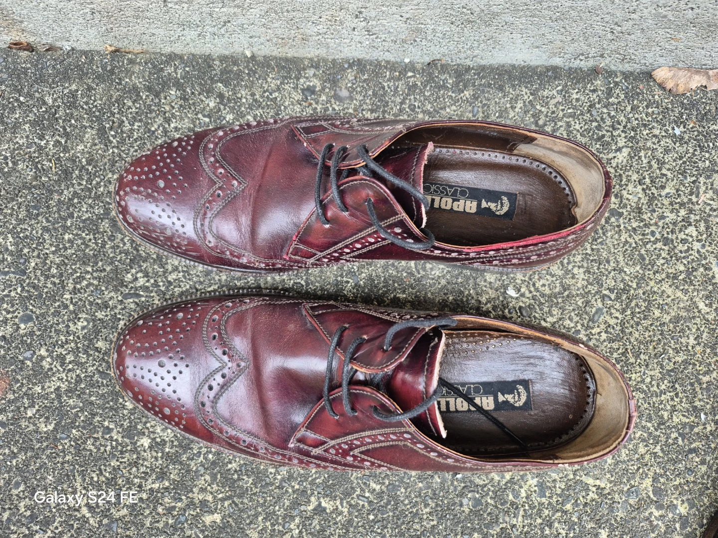 Apollo Classic Men's Wingtip Oxford Shoes - Burgundy Leather