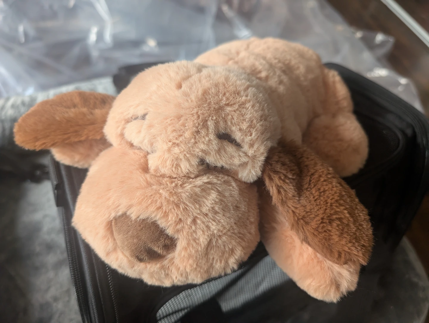 Plush Dog Stuffed Animal Toy