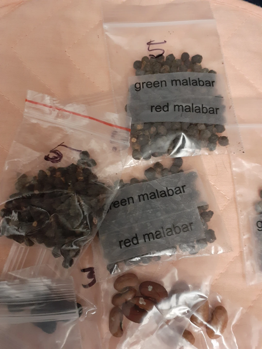 Vegetables seeds - photo 3