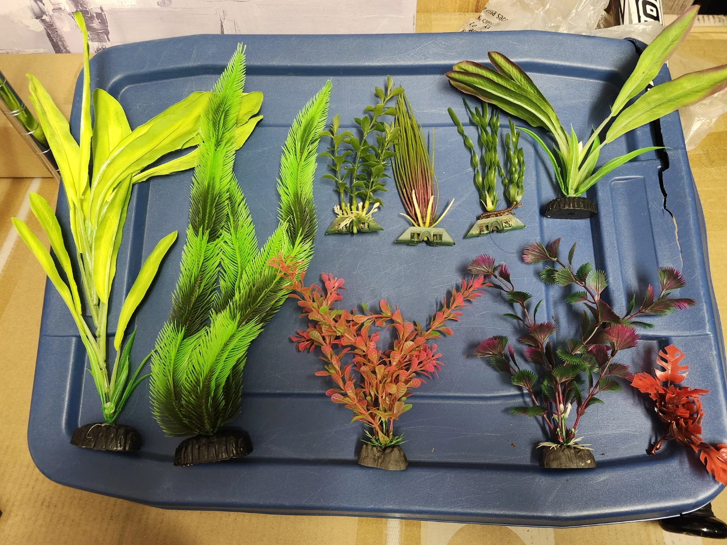 Assorted Aquarium Plants 8 pcs