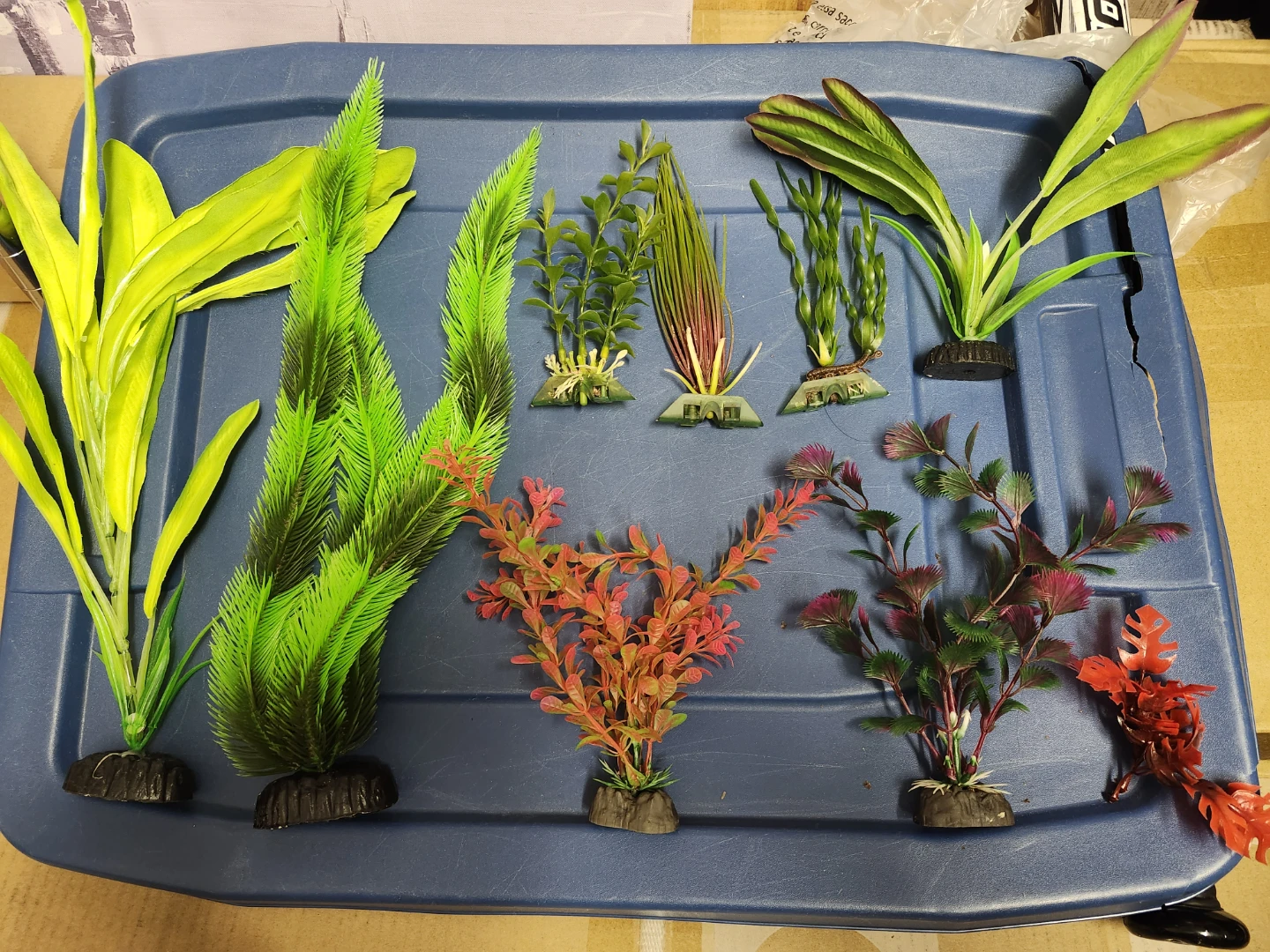 Assorted Aquarium Plants 8 pcs - photo 2